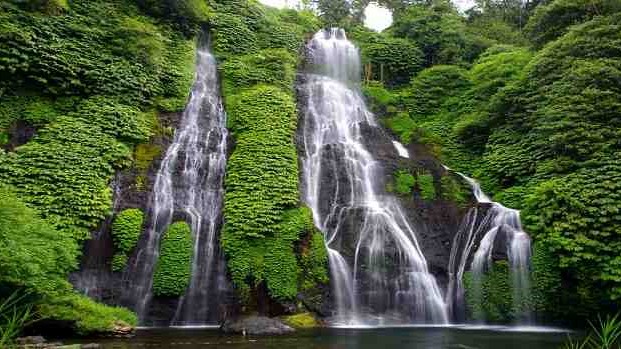 Air Terjun Banyumala Air Terjun Kembar Yang Eksotis