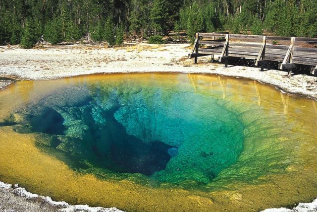 taman nasional yellowstone